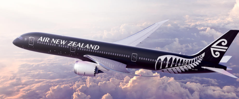 Air New Zealand aircraft with mountain back drop